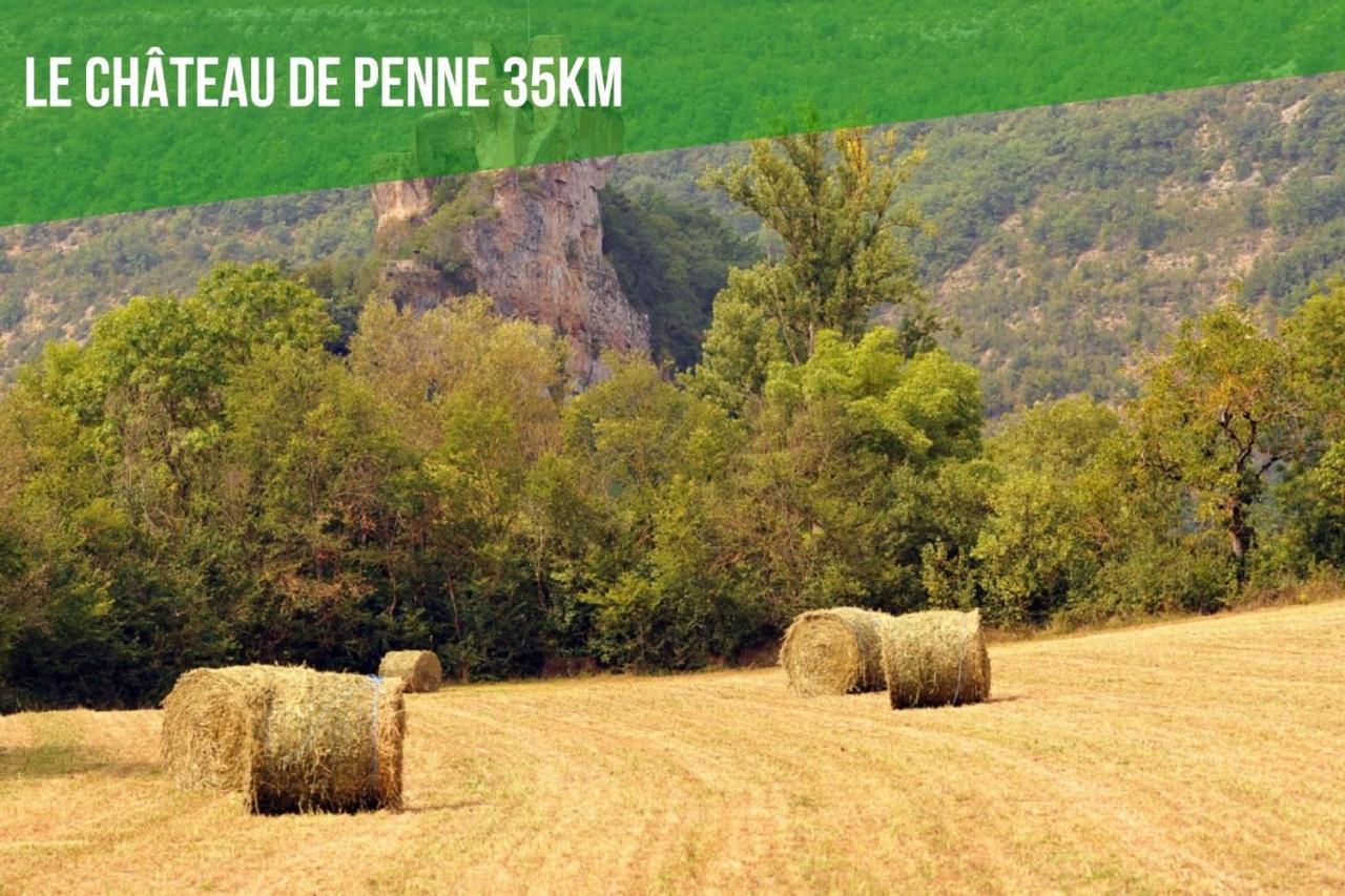 Le Cottage Nature Primeur Sauna Gaillac Entre Albi-Toulouse & Les Cottages Du Tarn Brens  エクステリア 写真