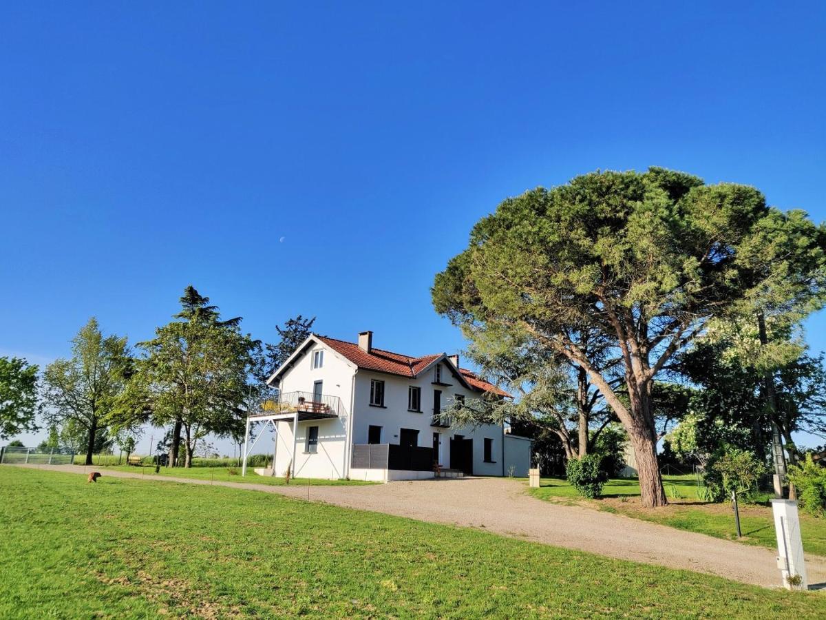 Le Cottage Nature Primeur Sauna Gaillac Entre Albi-Toulouse & Les Cottages Du Tarn Brens  エクステリア 写真